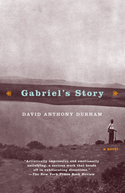 Gabriel's Story : A Novel (Hurston/Wright LEGACY Award), Paperback / softback Book