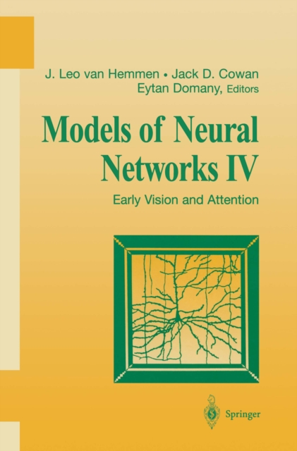 Models of Neural Networks IV : Early Vision and Attention, PDF eBook