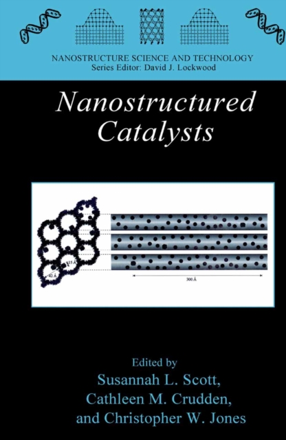 Nanostructured Catalysts, PDF eBook