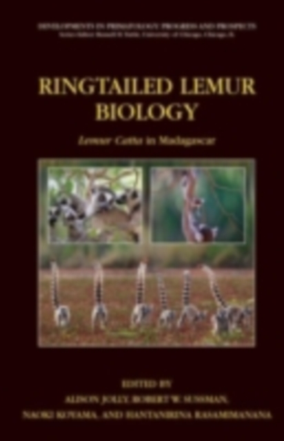 Ringtailed Lemur Biology : Lemur catta in Madagascar, PDF eBook