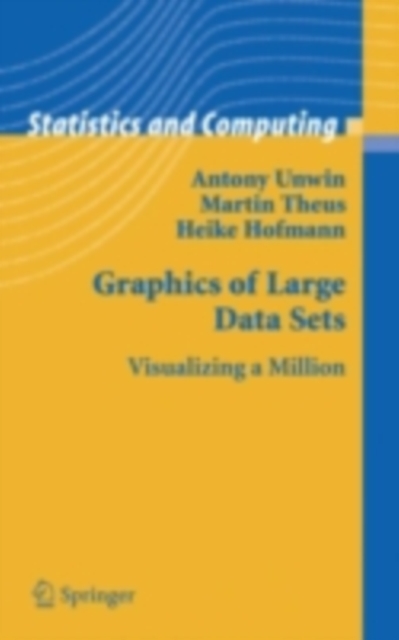 Graphics of Large Datasets : Visualizing a Million, PDF eBook