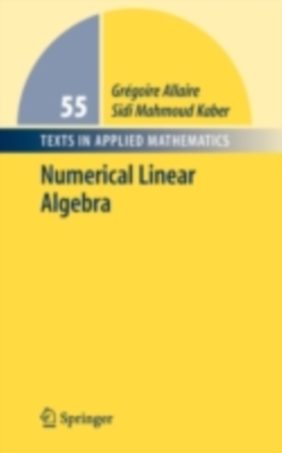 Numerical Linear Algebra, PDF eBook