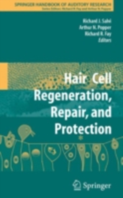 Hair Cell Regeneration, Repair, and Protection, PDF eBook