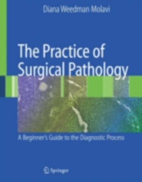 The Practice of Surgical Pathology : A Beginner's Guide to the Diagnostic Process, PDF eBook