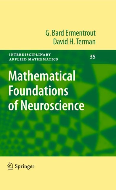 Mathematical Foundations of Neuroscience, PDF eBook