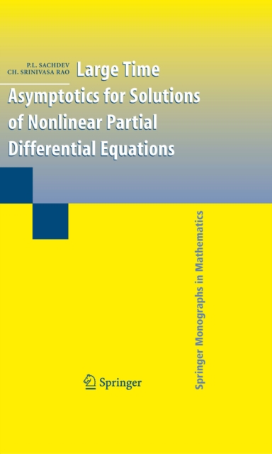 Large Time Asymptotics for Solutions of Nonlinear Partial Differential Equations, PDF eBook
