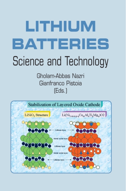Lithium Batteries : Science and Technology, PDF eBook