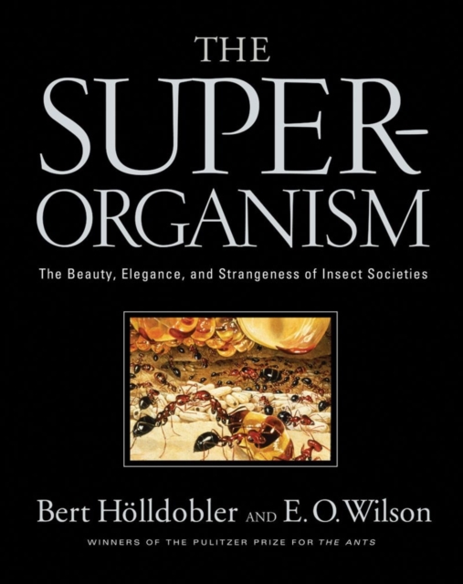 The Superorganism : The Beauty, Elegance, and Strangeness of Insect Societies, Hardback Book