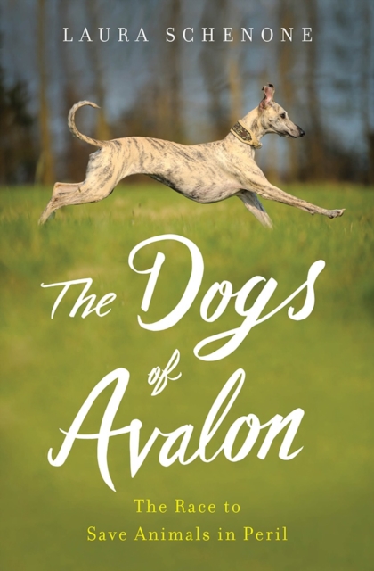 The Dogs of Avalon : The Race to Save Animals in Peril, Hardback Book