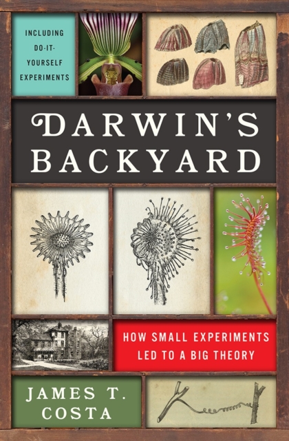 Darwin's Backyard : How Small Experiments Led to a Big Theory, Hardback Book