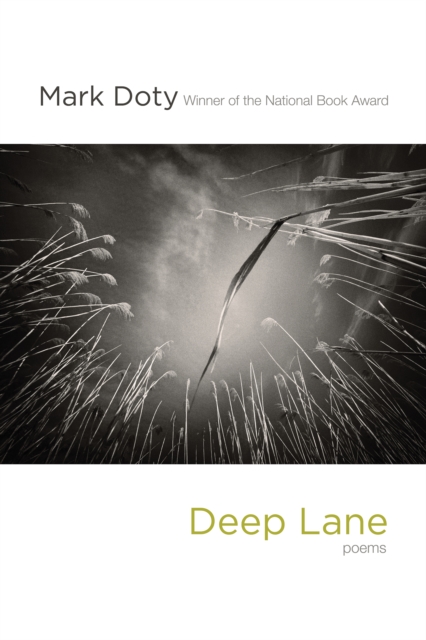 Deep Lane : Poems, EPUB eBook