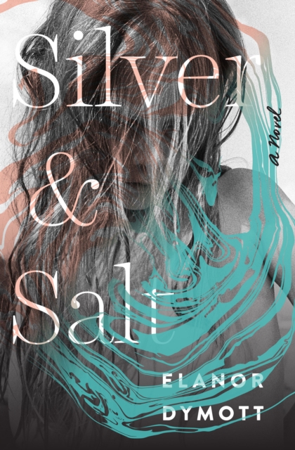 Silver and Salt : A Novel, EPUB eBook