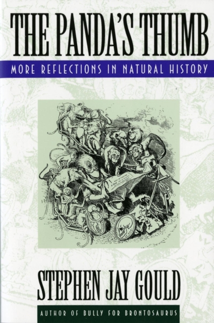 The Panda's Thumb : More Reflections in Natural History, Paperback / softback Book