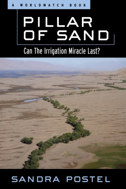 Pillar of Sand : Can the Irrigation Miracle Last?, Hardback Book