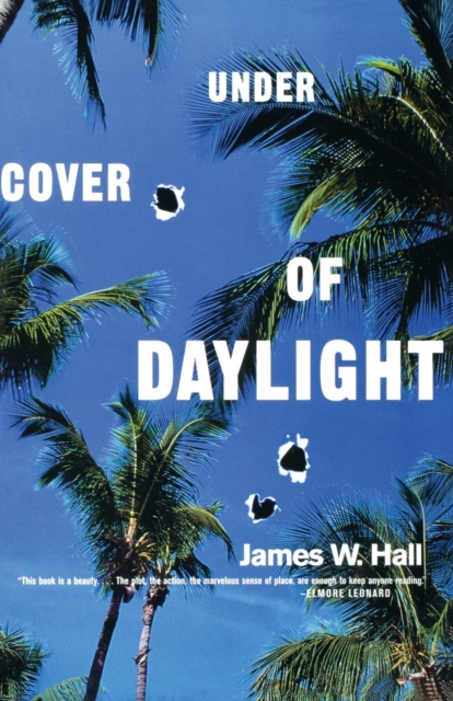 Under Cover of Daylight, Paperback Book