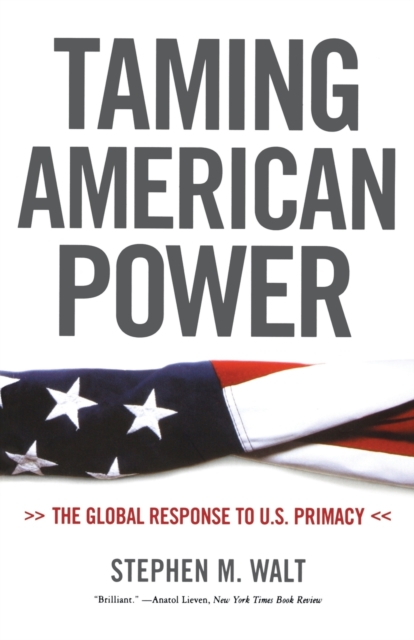 Taming American Power : The Global Response to U.S. Primacy, Paperback / softback Book