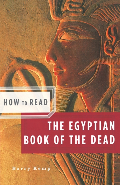 How to Read the Egyptian Book of the Dead, Paperback Book