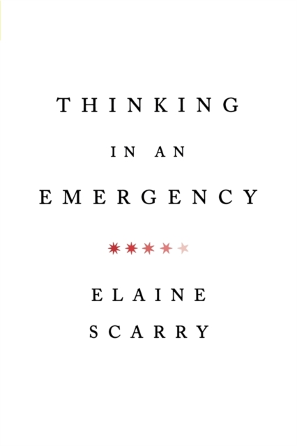 Thinking in an Emergency, Paperback / softback Book