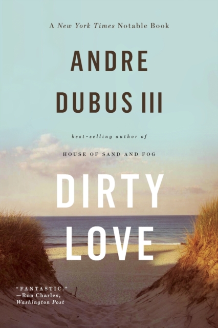 Dirty Love, Paperback / softback Book