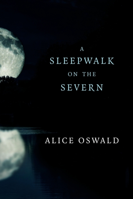 A Sleepwalk on the Severn, Paperback / softback Book