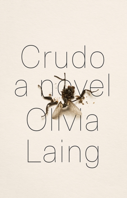 Crudo : A Novel, Hardback Book