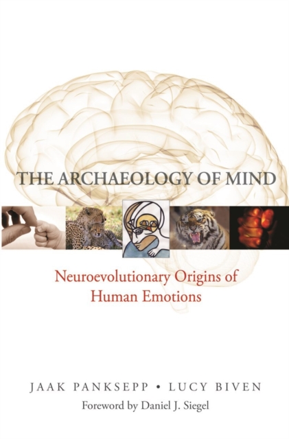 The Archaeology of Mind : Neuroevolutionary Origins of Human Emotions, Hardback Book