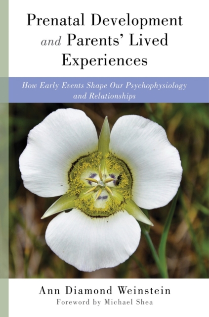 Prenatal Development and Parents' Lived Experiences : How Early Events Shape Our Psychophysiology and Relationships, Hardback Book
