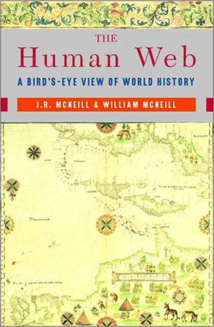 The Human Web : A Bird's-Eye View of World History, Paperback / softback Book