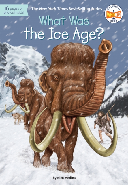 What Was the Ice Age?, Paperback / softback Book