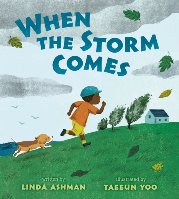 When the Storm Comes, Hardback Book