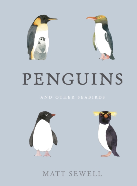 Penguins and Other Seabirds, EPUB eBook