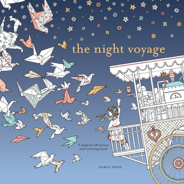 Night Voyage, The, Paperback / softback Book