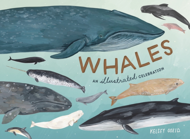 Whales : An Illustrated Celebration, Hardback Book
