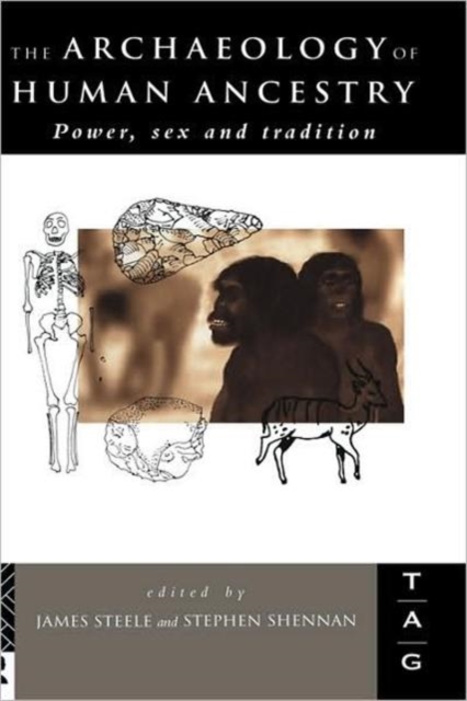 The Archaeology of Human Ancestry : Power, Sex and Tradition, Hardback Book