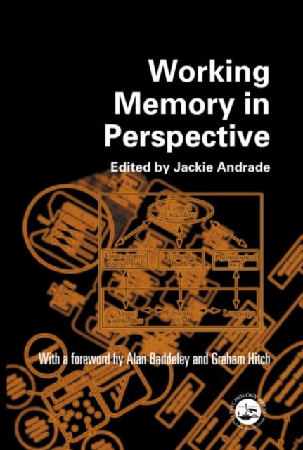 Working Memory in Perspective, Paperback / softback Book