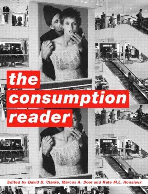 The Consumption Reader, Paperback / softback Book