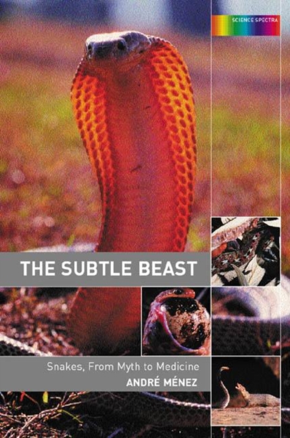 The Subtle Beast : Snakes, From Myth to Medicine, Paperback / softback Book