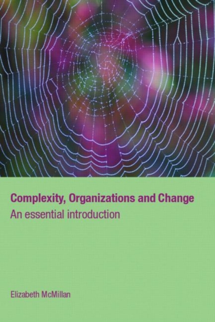 Complexity, Organizations and Change, Paperback / softback Book