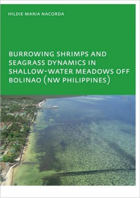 Burrowing Shrimps and Seagrass Dynamics in Shallow-Water Meadows off Bolinao (New Philippines) : UNESCO-IHE PhD, Paperback / softback Book
