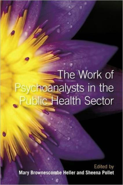 The Work of Psychoanalysts in the Public Health Sector, Hardback Book