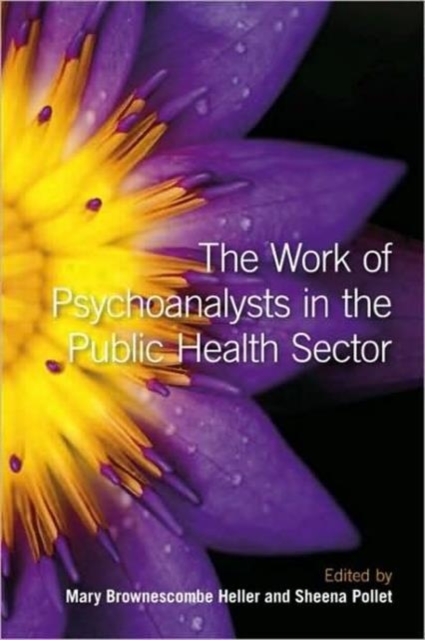 The Work of Psychoanalysts in the Public Health Sector, Paperback / softback Book