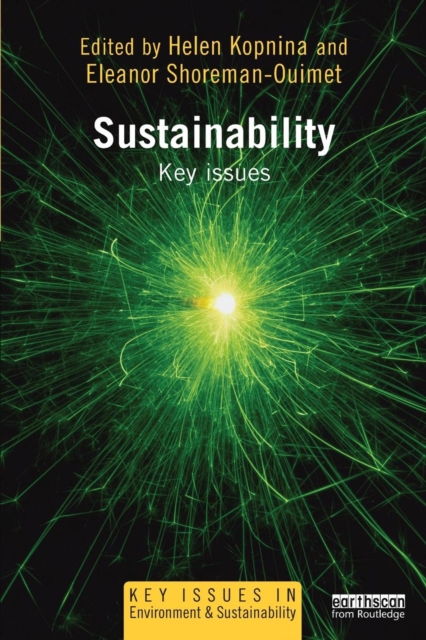 Sustainability : Key Issues, Paperback / softback Book