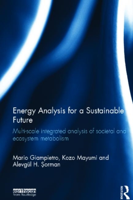 Energy Analysis for a Sustainable Future : Multi-Scale Integrated Analysis of Societal and Ecosystem Metabolism, Hardback Book
