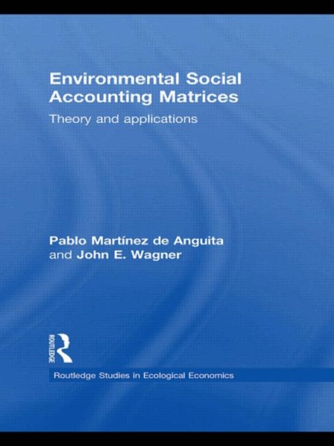 Environmental Social Accounting Matrices : Theory and applications, Paperback / softback Book