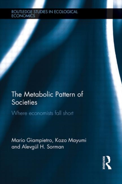 The Metabolic Pattern of Societies : Where Economists Fall Short, Hardback Book