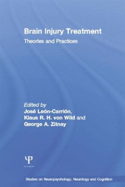 Brain Injury Treatment : Theories and Practices, Paperback / softback Book