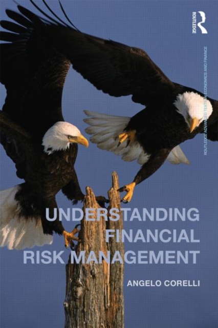 Understanding Financial Risk Management, Paperback Book