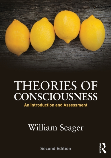 Theories of Consciousness : An Introduction and Assessment, Paperback / softback Book