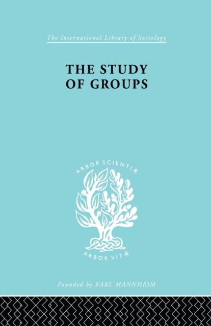 The Study of Groups, Paperback / softback Book