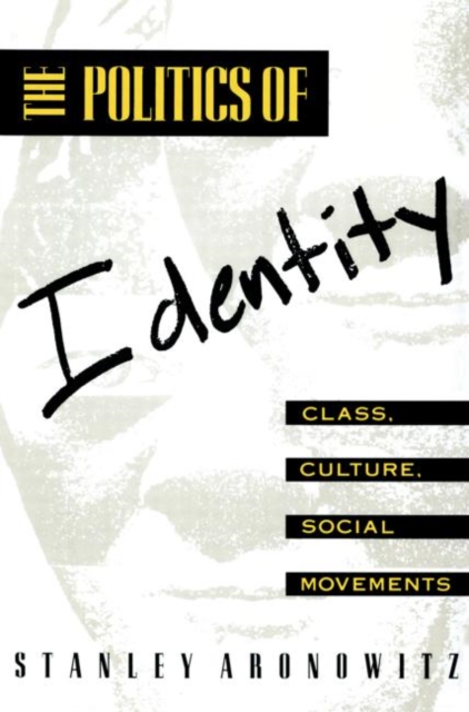 The Politics of Identity : Class, Culture, Social Movements, Paperback / softback Book